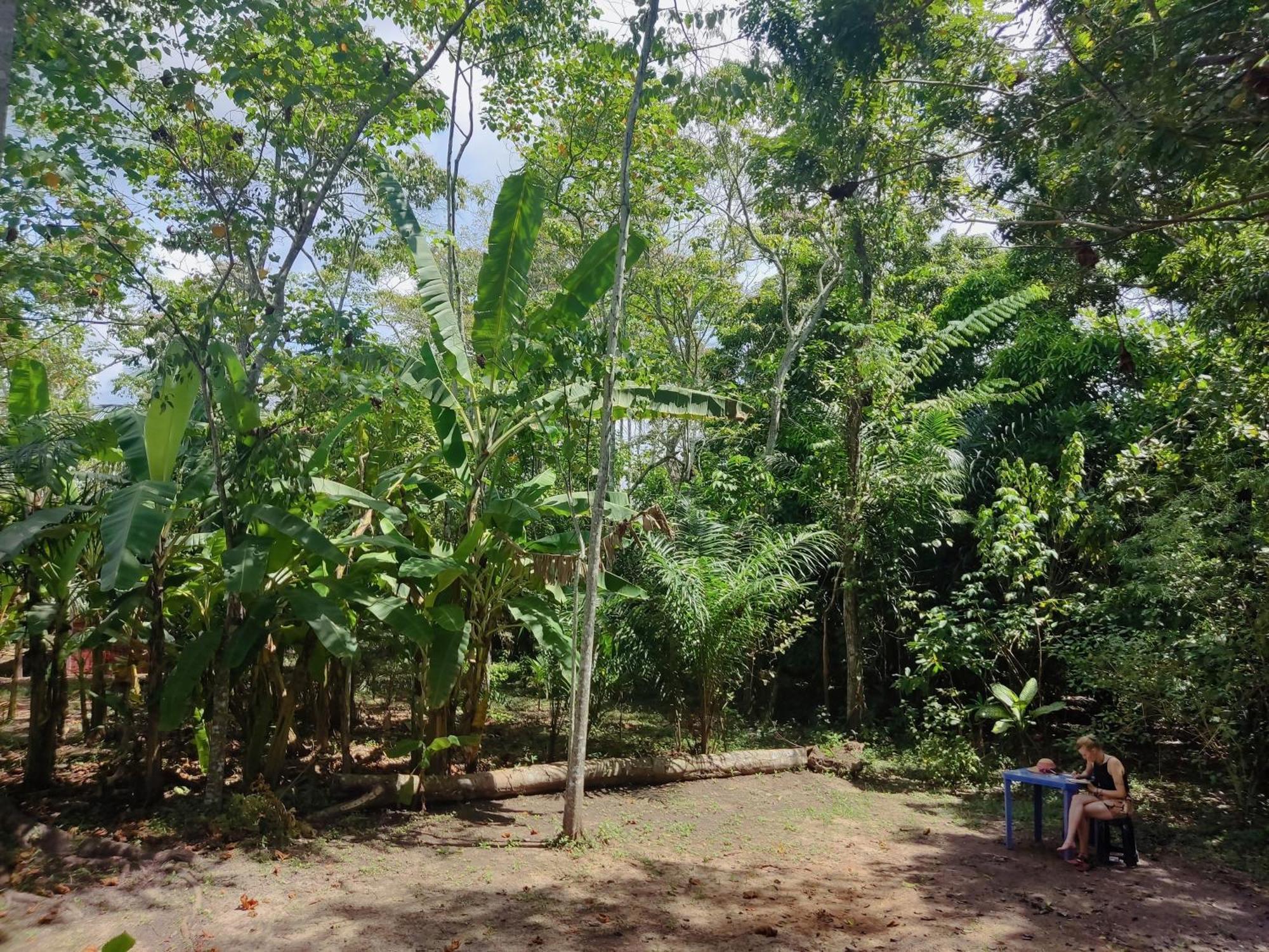 Aya Ni Otel Pucallpa Dış mekan fotoğraf