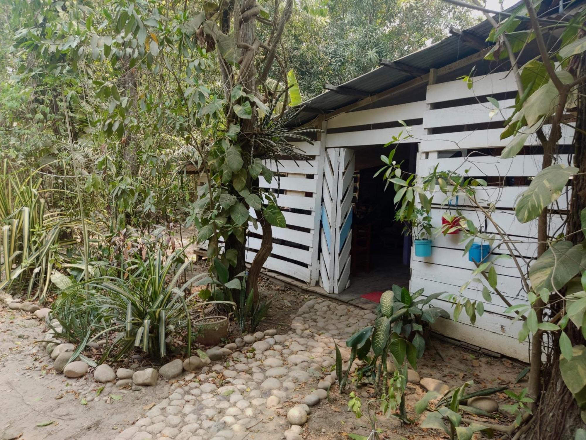 Aya Ni Otel Pucallpa Dış mekan fotoğraf