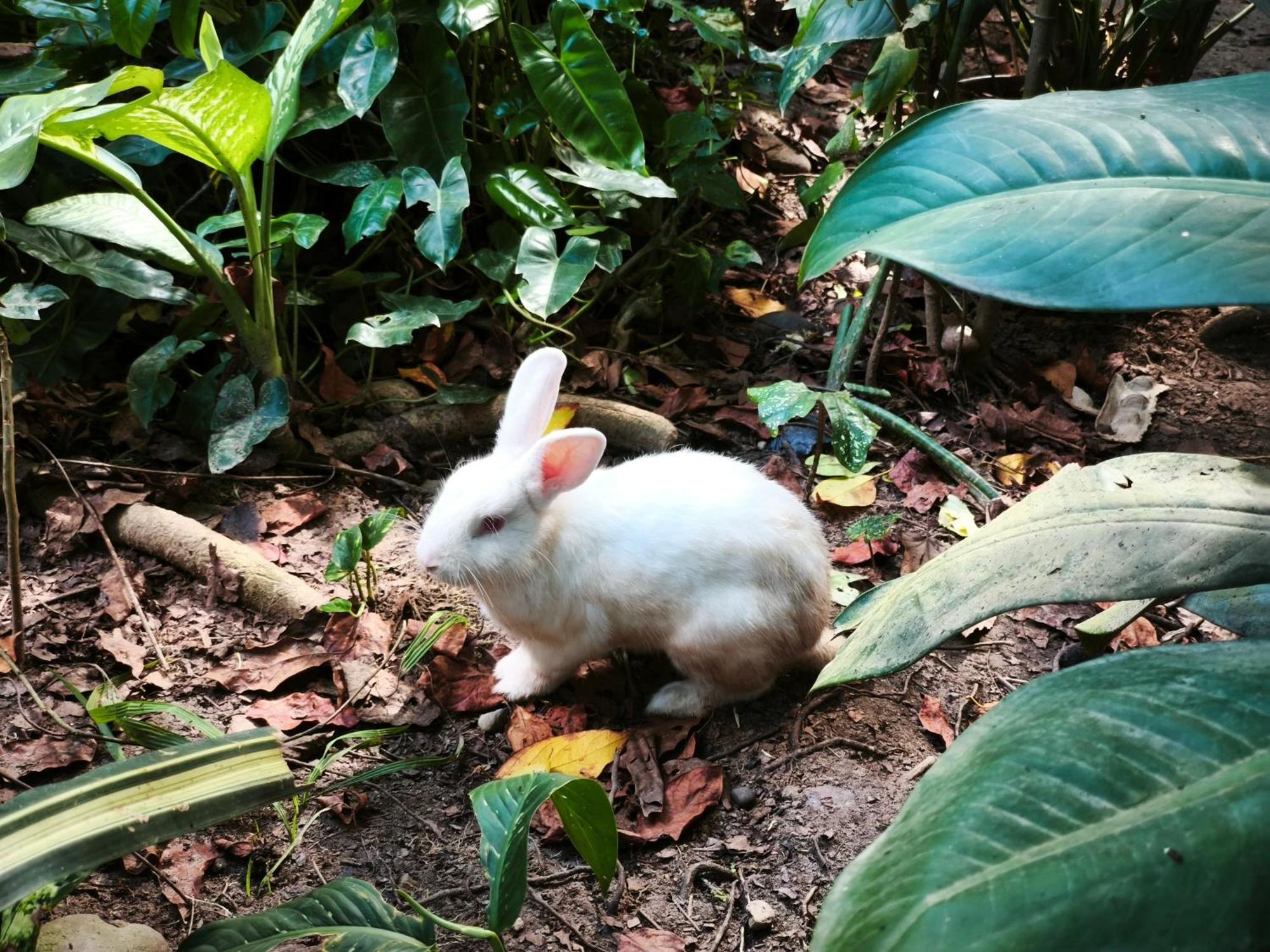 Aya Ni Otel Pucallpa Dış mekan fotoğraf
